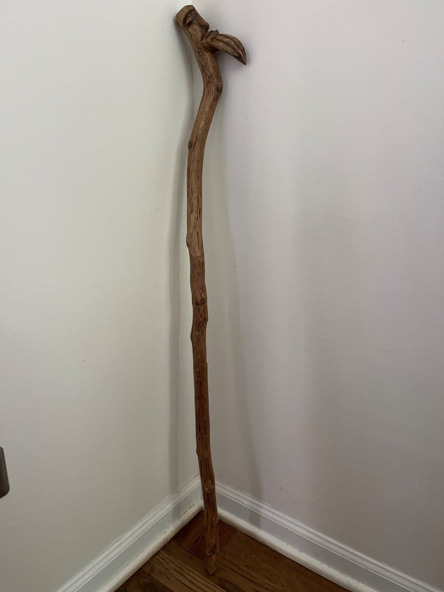Hand-Carved Wooden Walking Staff with Bird Head