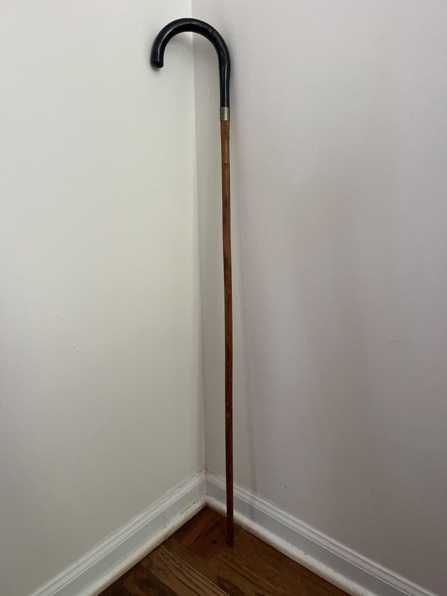 Antique Bamboo Walking Cane with Horn Handle