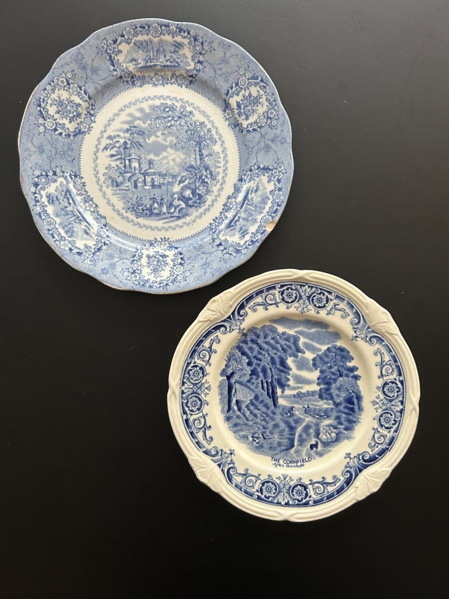 Antique Blue & White Transferware Plates (Set of 2) - photo 1
