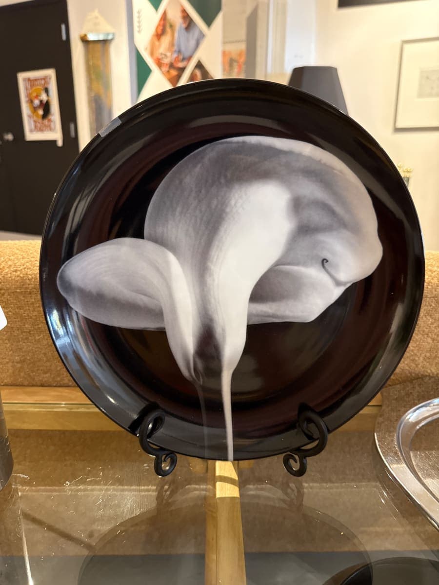 Jack Lynam 'Calla Lily' Hand-Painted Decorative Plate - photo 1