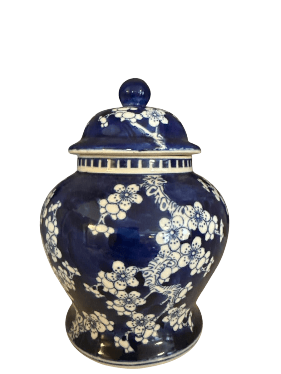 Chinese Blue & White Porcelain Ginger Jar - photo 1