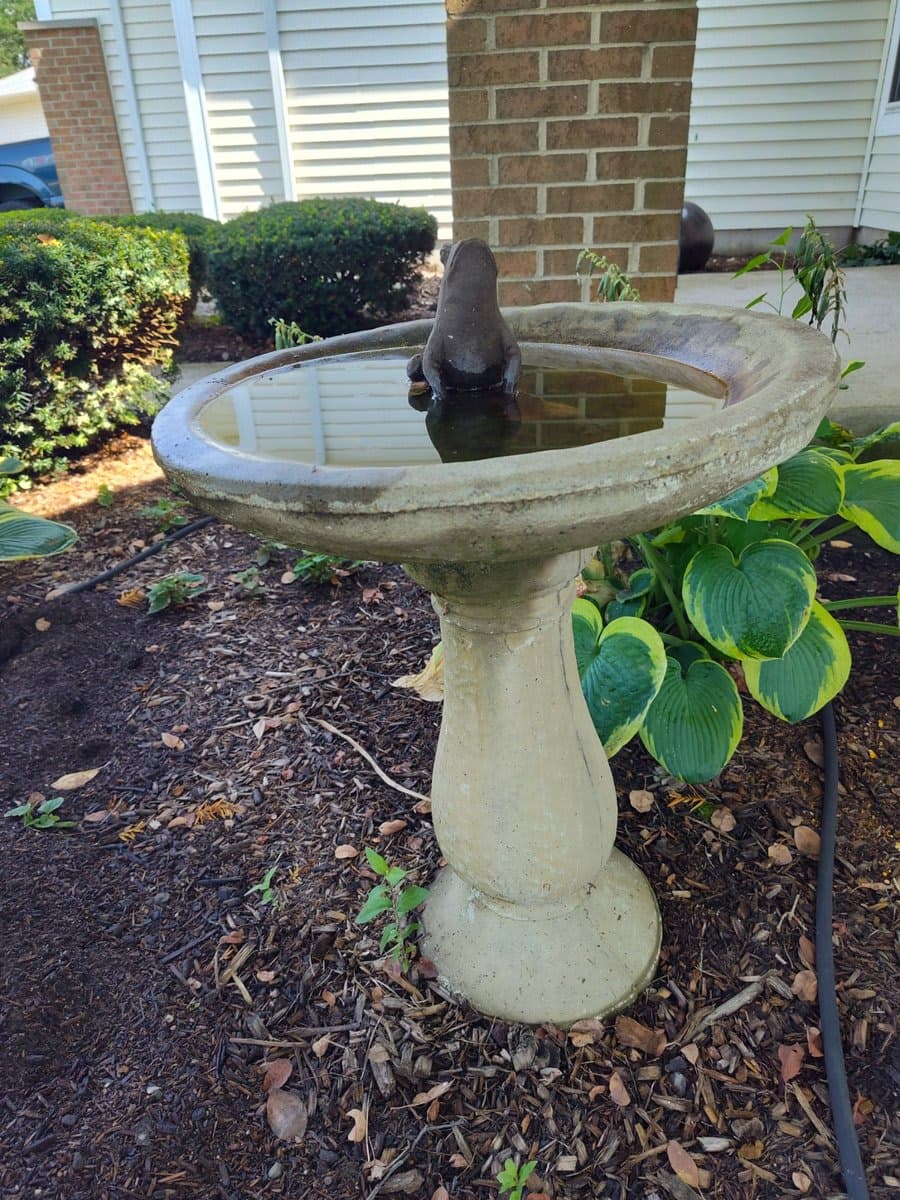 Concrete Birdbath with Frog Figurine - photo 1