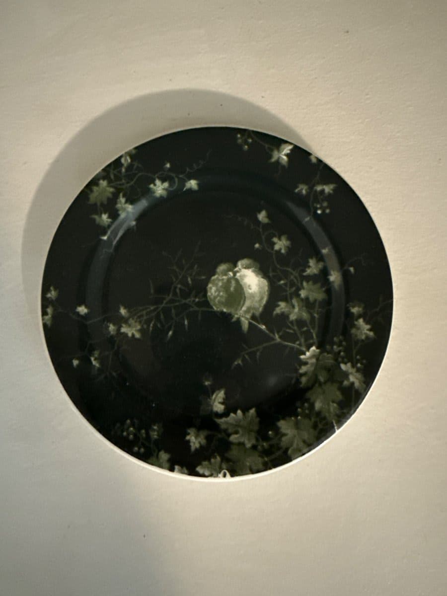 Antique Black Porcelain Plate with Birds