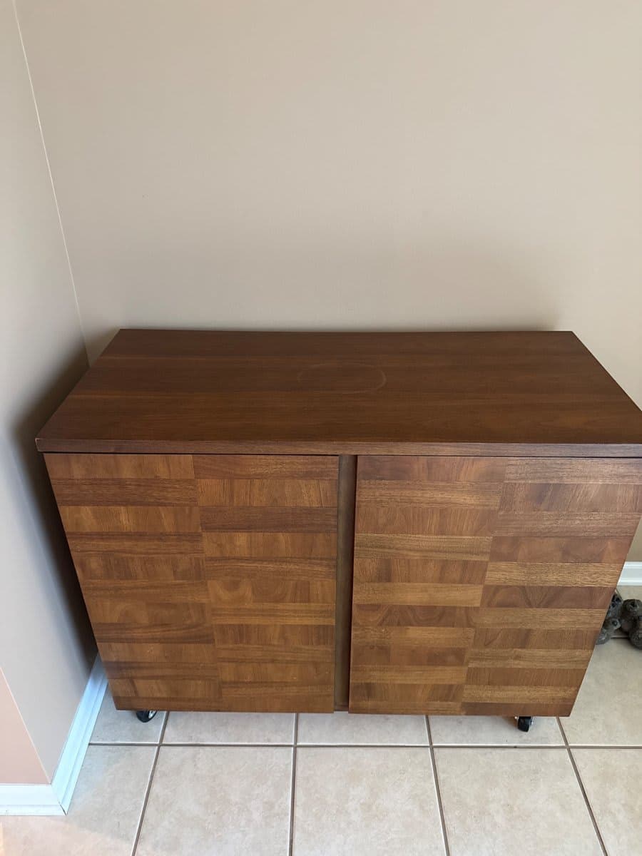 Mid-Century Teak Rolling Cabinet with Two Doors