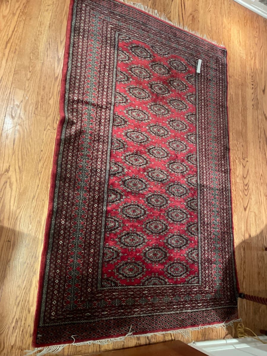 Red Bokhara Wool Area Rug